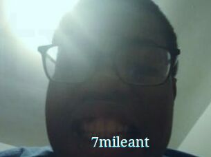 7mileant