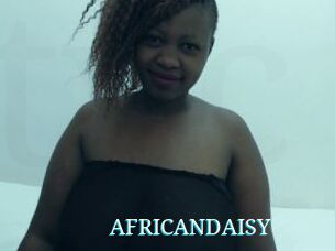 AFRICANDAISY