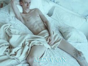 ALEX_VAAN