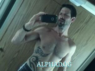 ALPHADOG