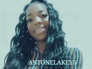ANTONELAKEYS