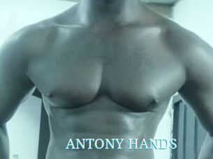 ANTONY_HANDS