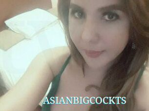 ASIAN_BIGCOCK_TS