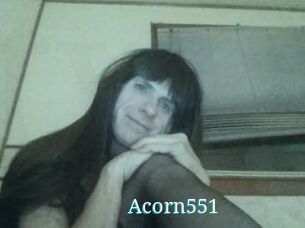 Acorn551