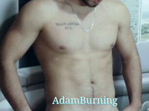 AdamBurning