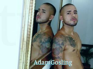 AdamGosling