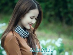 AkinaTina