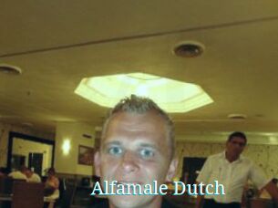 Alfamale_Dutch