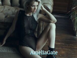 AmeliaGate