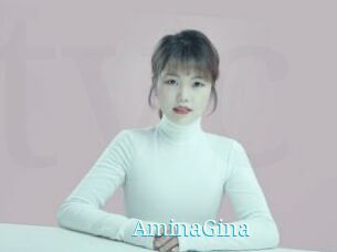 AminaGina