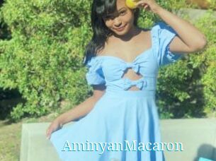 AminyanMacaron