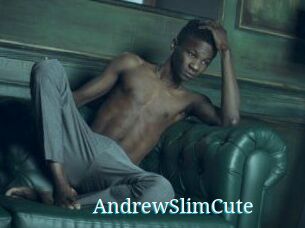 AndrewSlimCute