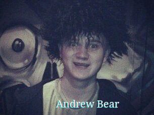 Andrew_Bear
