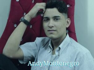 AndyMontenegro