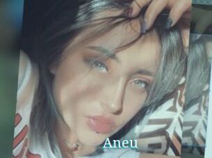 Aneu