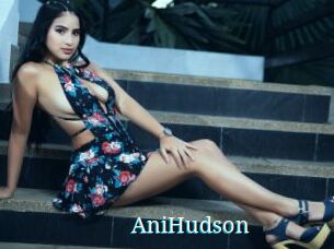 AniHudson