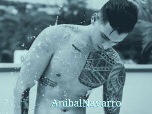 AnibalNavarro