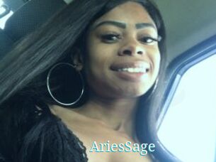 AriesSage