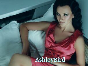AshleyBird