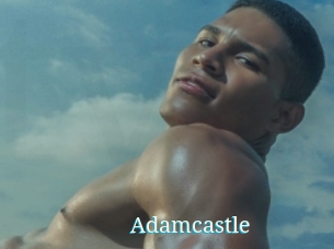 Adamcastle