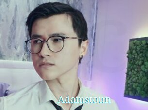 Adamstoun