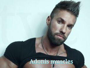 Adonis_muscles