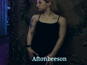 Aftonbeeson