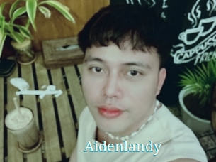 Aidenlandy
