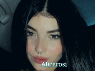 Alicerosi