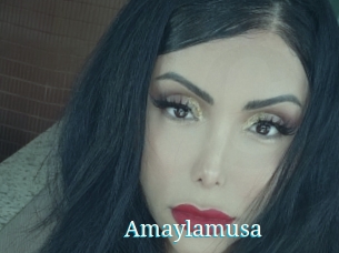 Amaylamusa