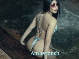 Amberbush