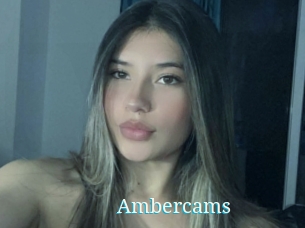 Ambercams