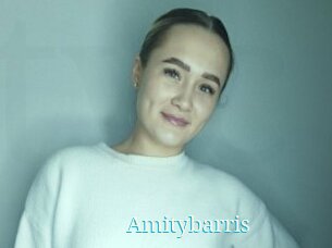 Amitybarris