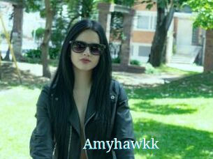 Amyhawkk