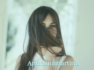 Andrianamartinis
