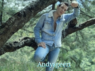 Andysgeert