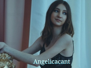 Angelicacant