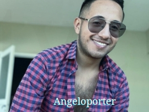 Angeloporter