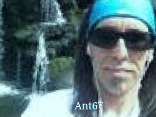 Ant67