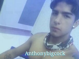 Anthonybigcock
