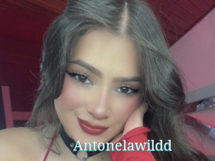 Antonelawildd