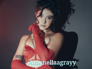 Antonellaagrayy