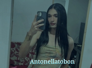 Antonellatobon