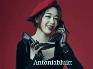 Antoniabluitt