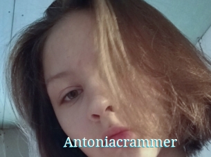 Antoniacrammer