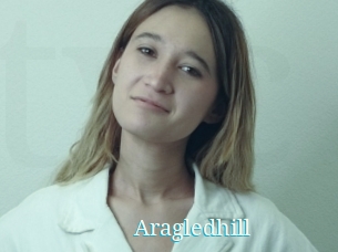 Aragledhill