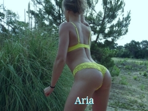 Aria