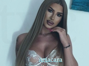 Ariacara