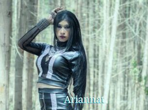 Ariannat