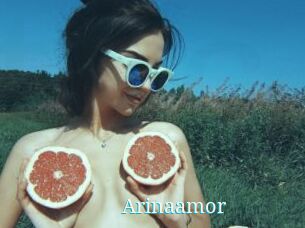 Arinaamor